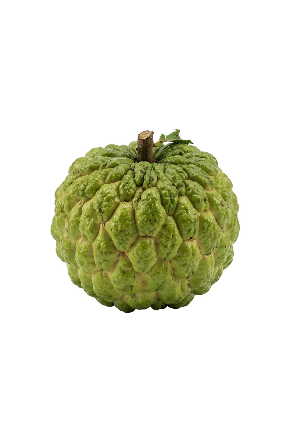 Custard apple
